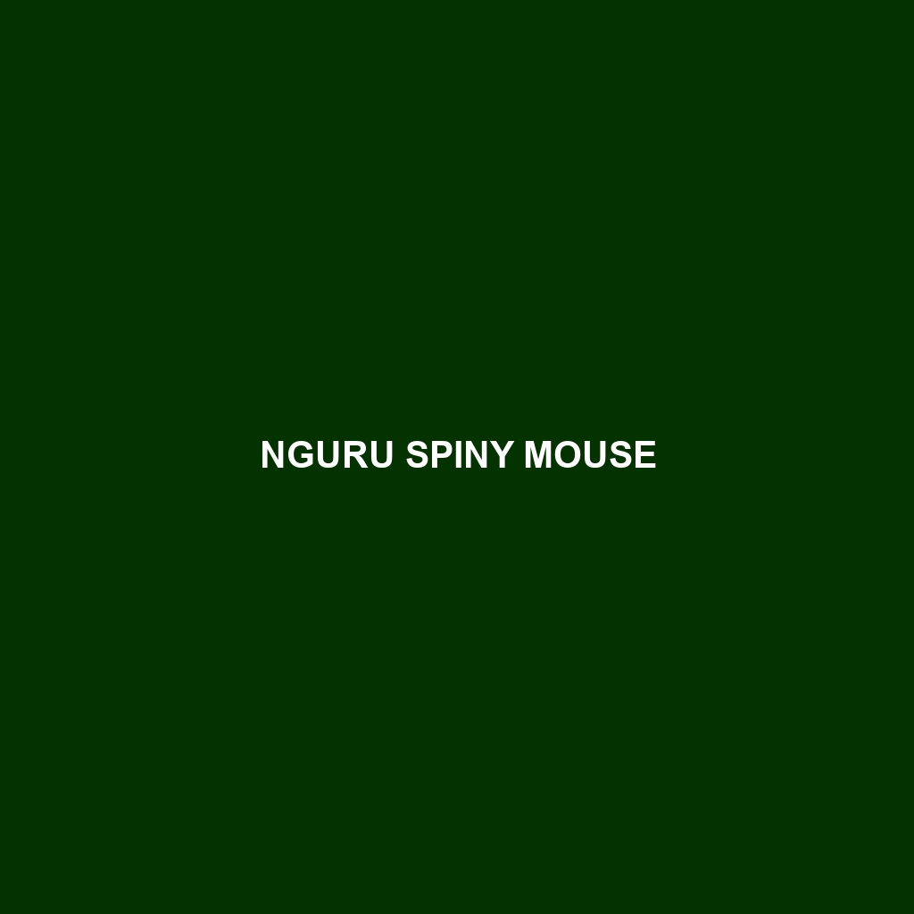 Nguru Spiny Mouse