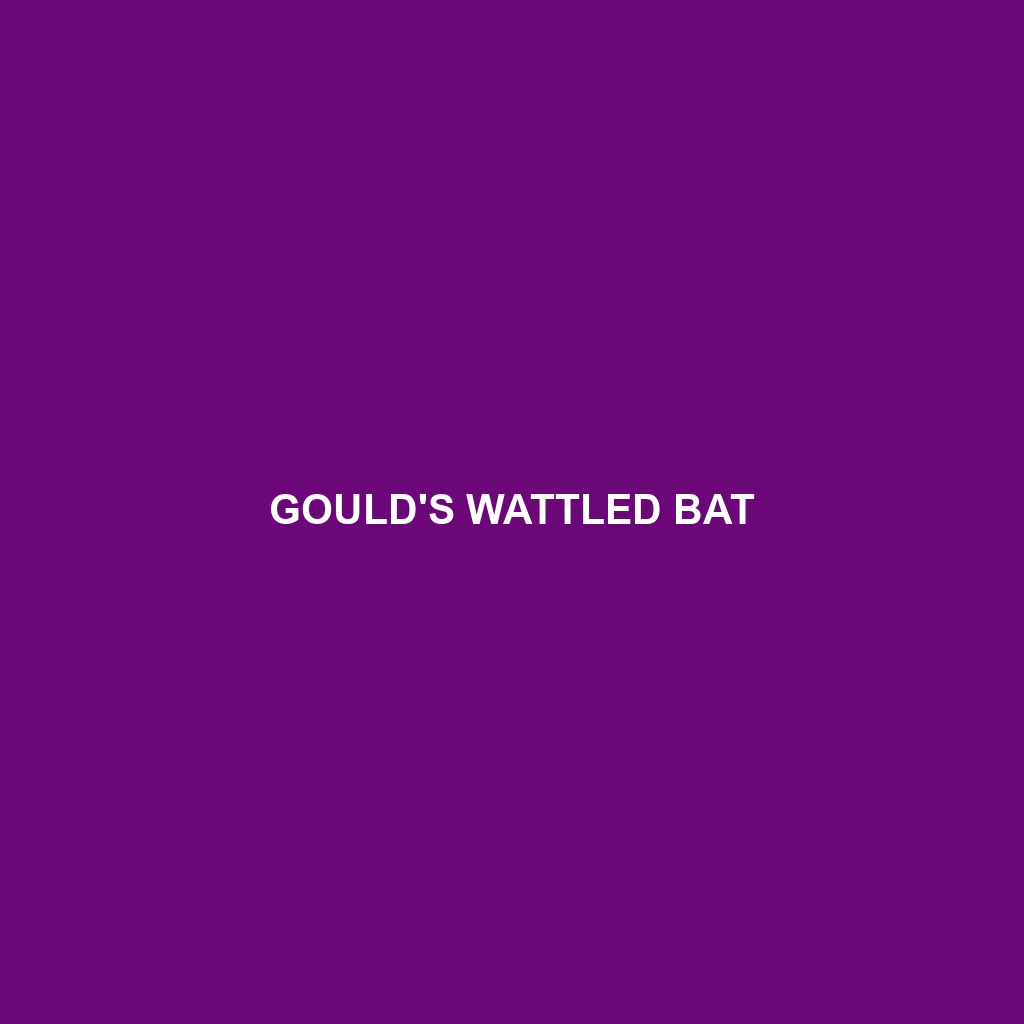 Gould's Wattled Bat