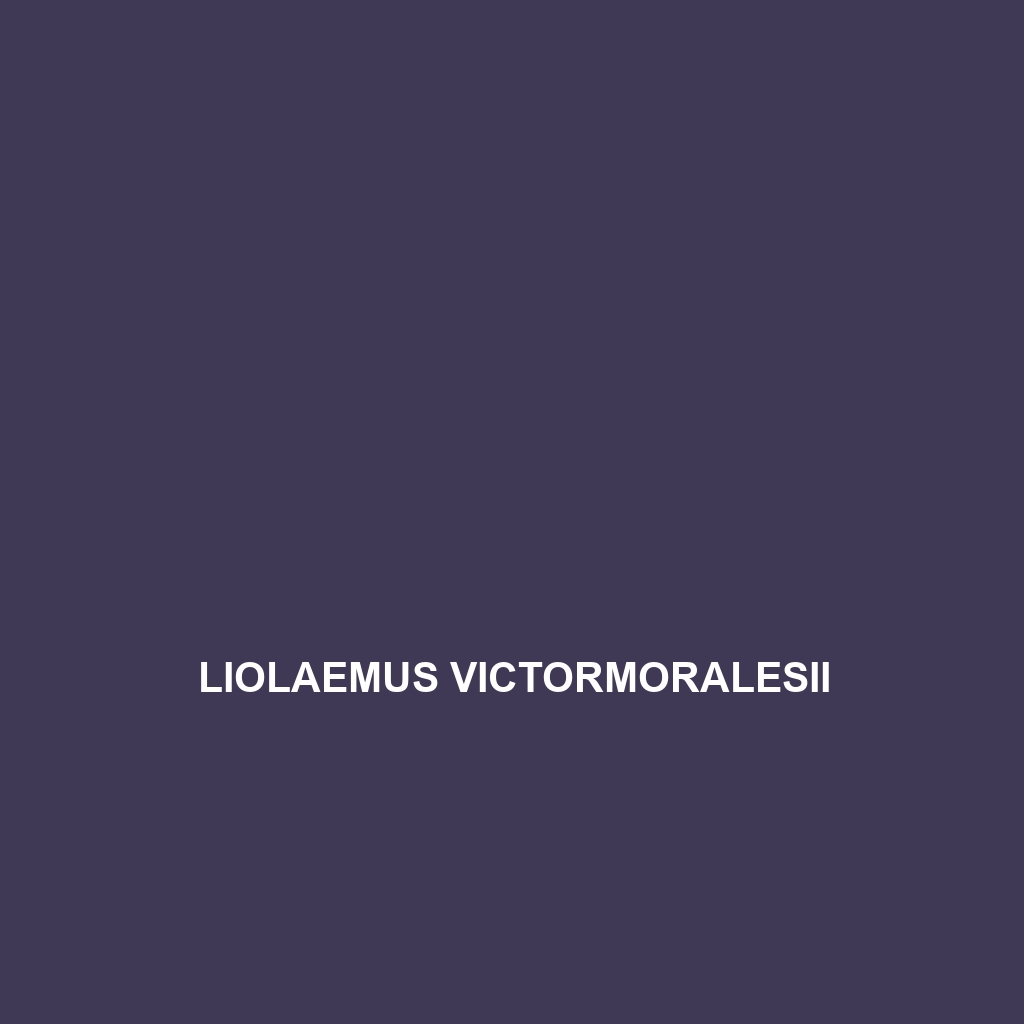 Liolaemus vhagar