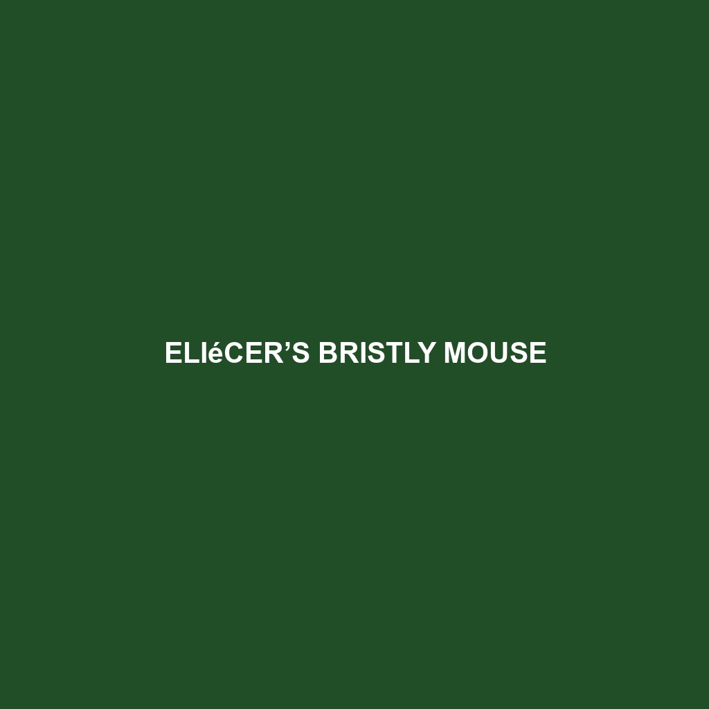 Eliécer’s Bristly Mouse