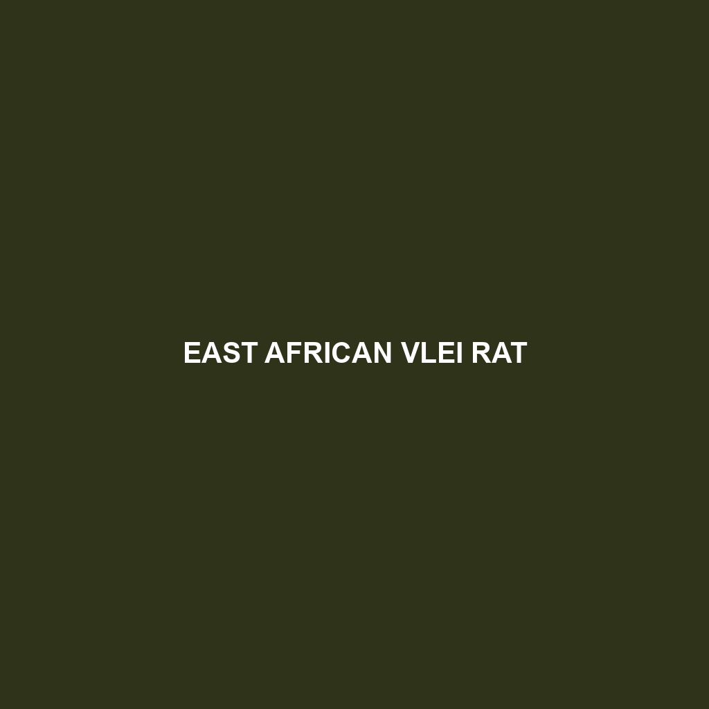 East African Vlei Rat