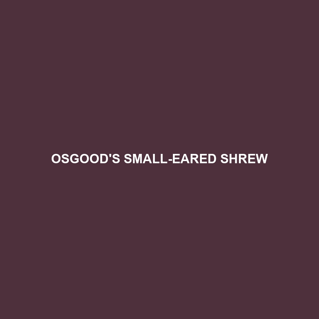 Osgood's Small-eared Shrew