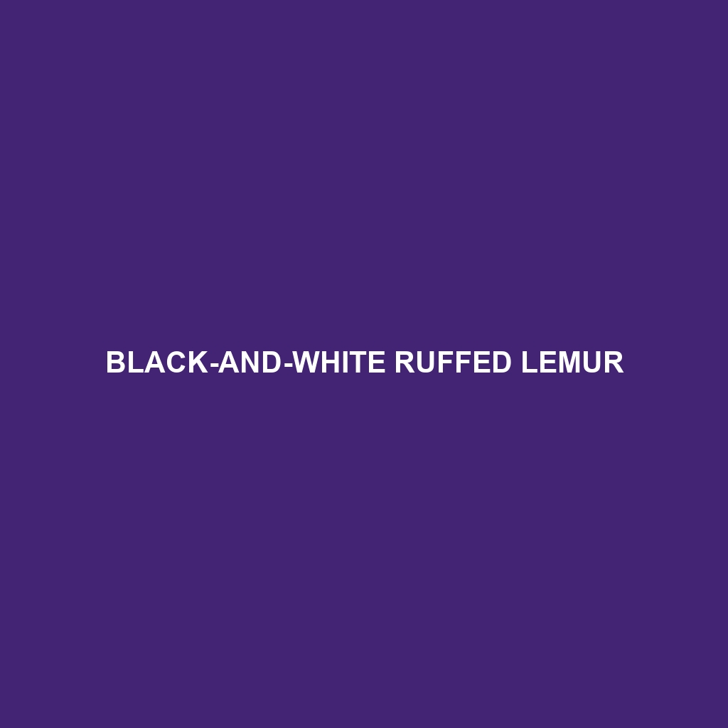 Black-and-white Ruffed Lemur