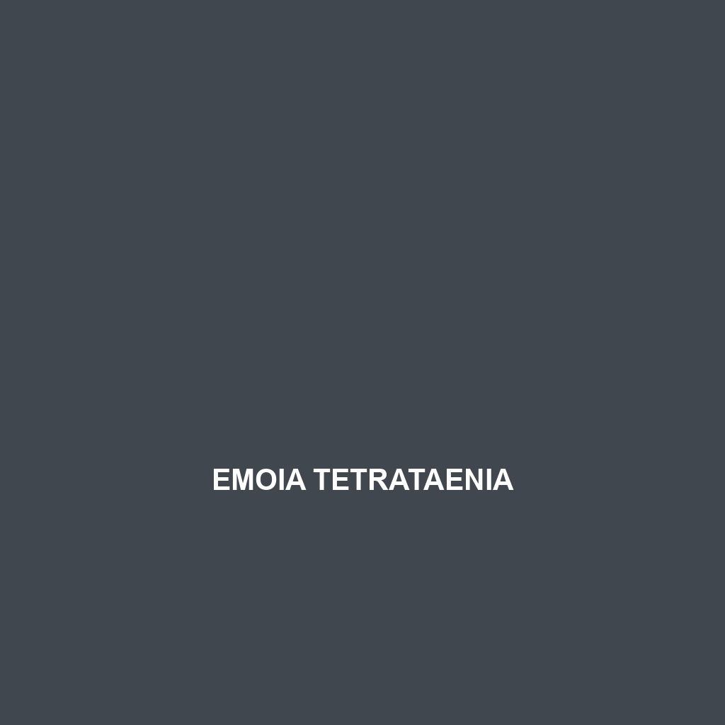 Emoia tetrataenia