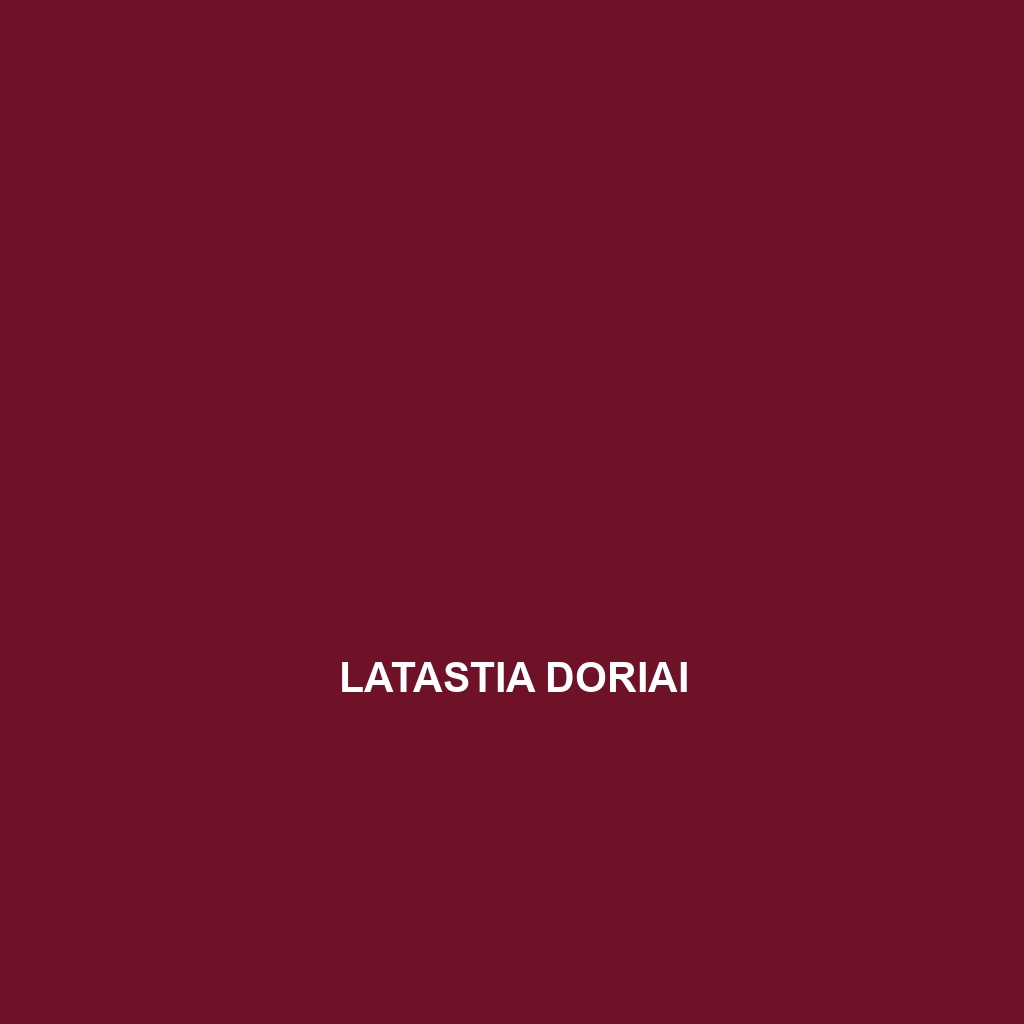 Latastia doriai