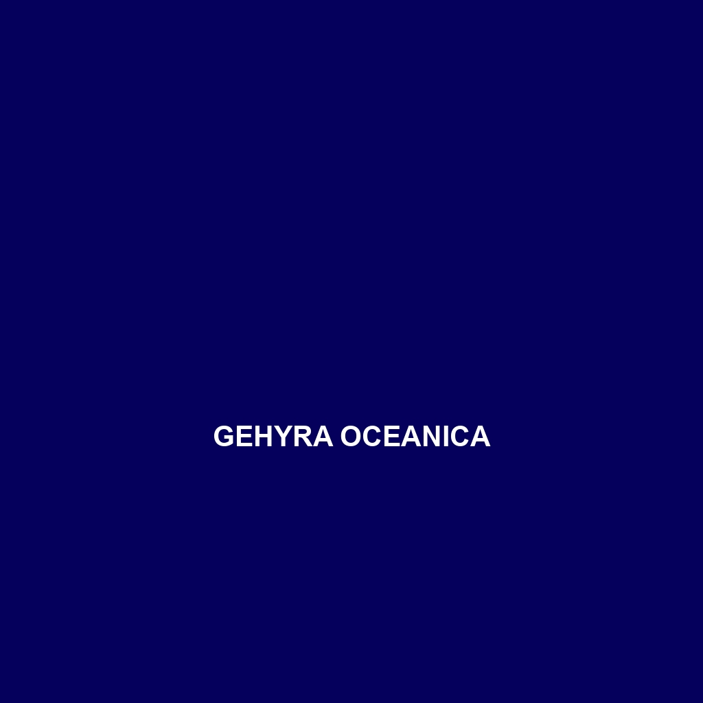 Gehyra oceanica