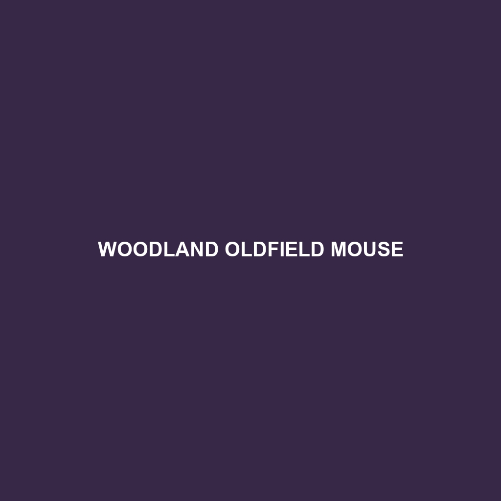 Woodland Oldfield Mouse