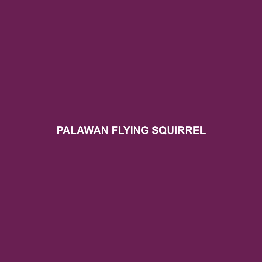 Palawan Flying Squirrel