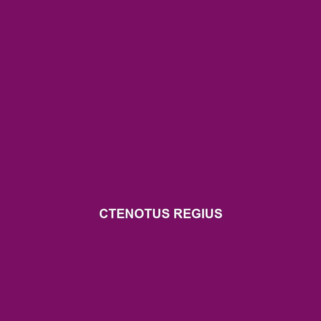 Ctenotus regius