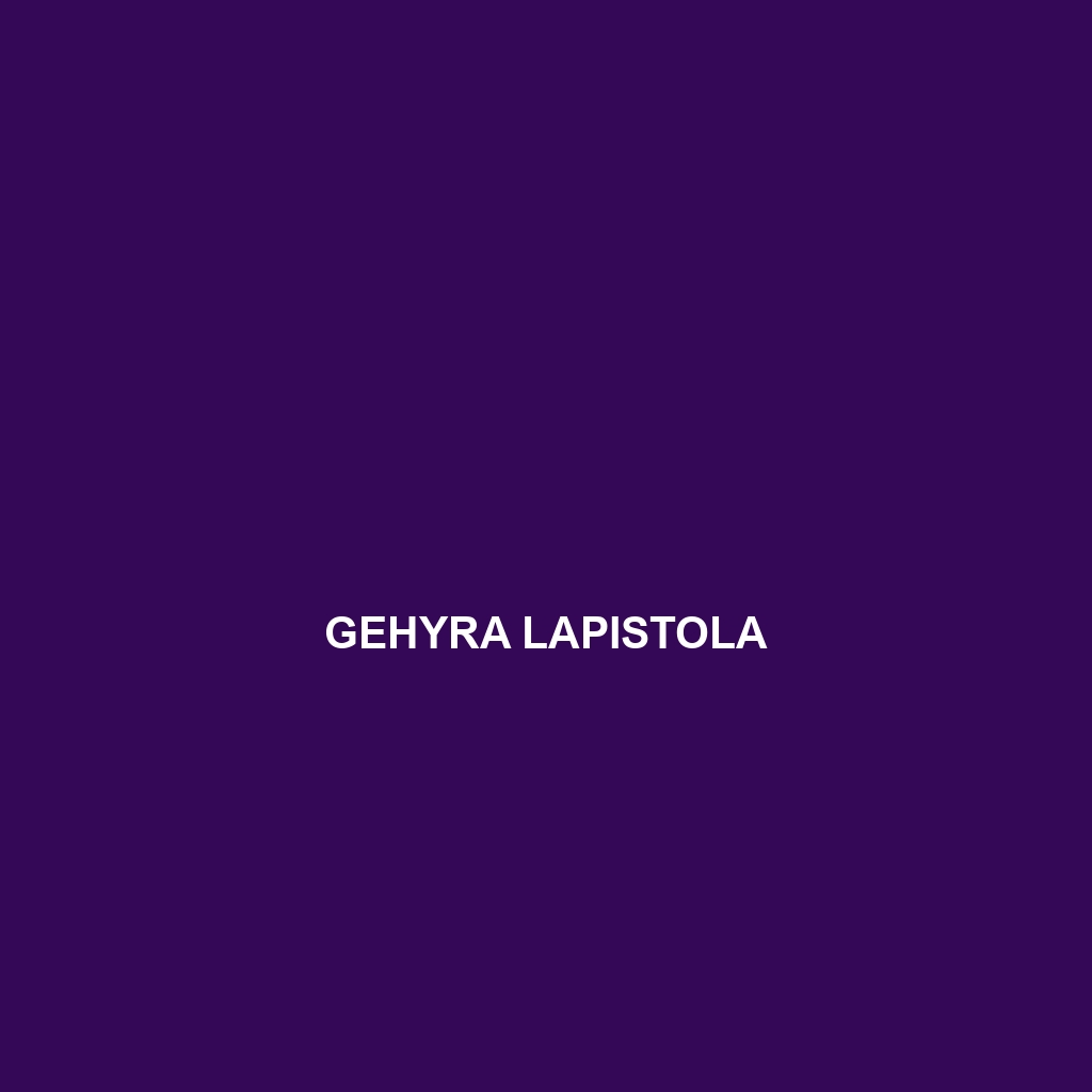 Gehyra lapistola