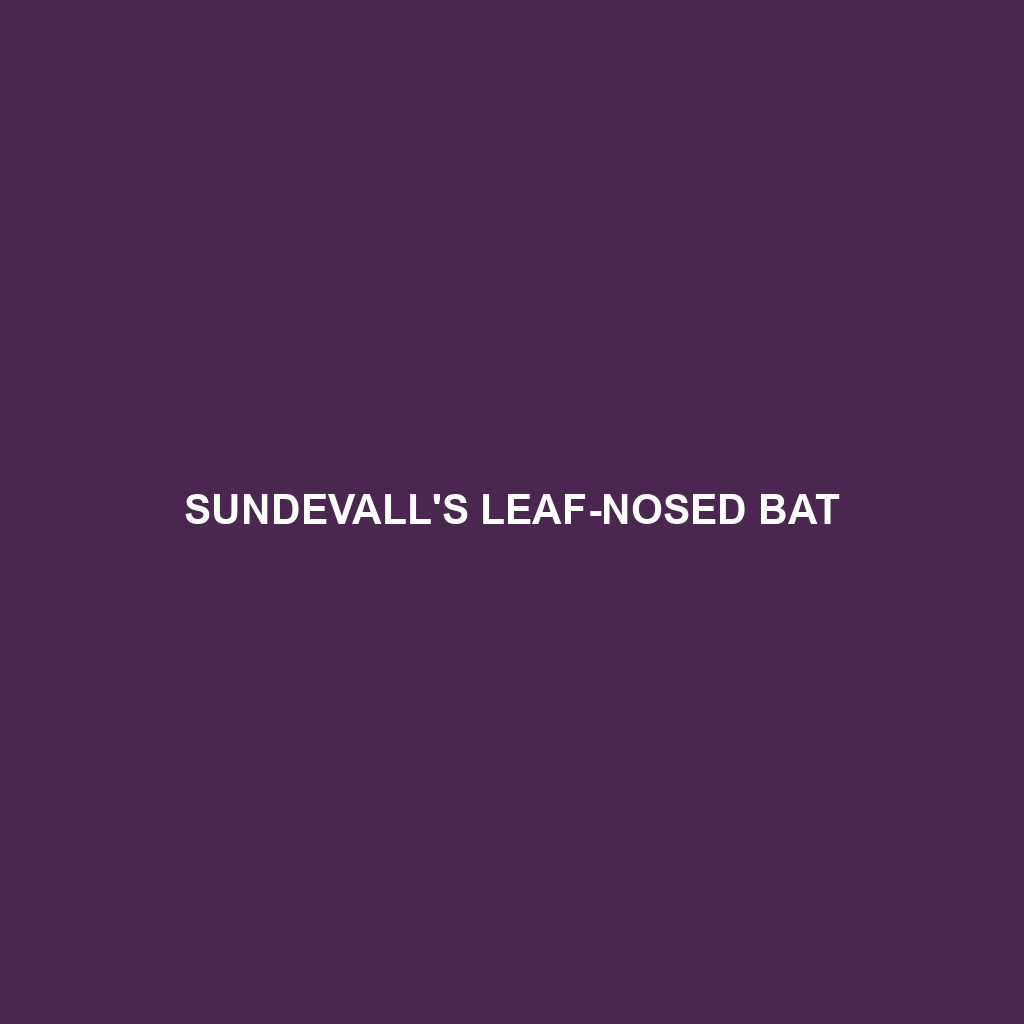 Sundevall's Leaf-nosed Bat