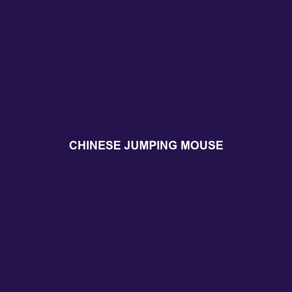 Chinese Jumping Mouse