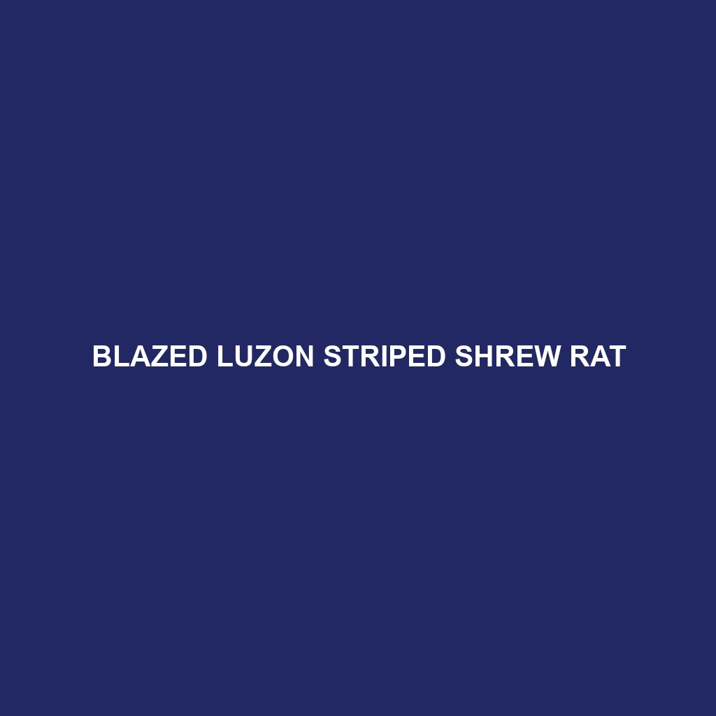 Blazed Luzon Striped Shrew Rat