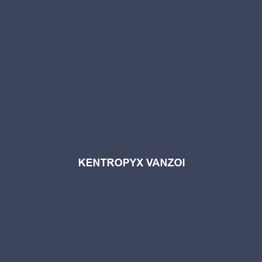 Kentropyx vanzoi