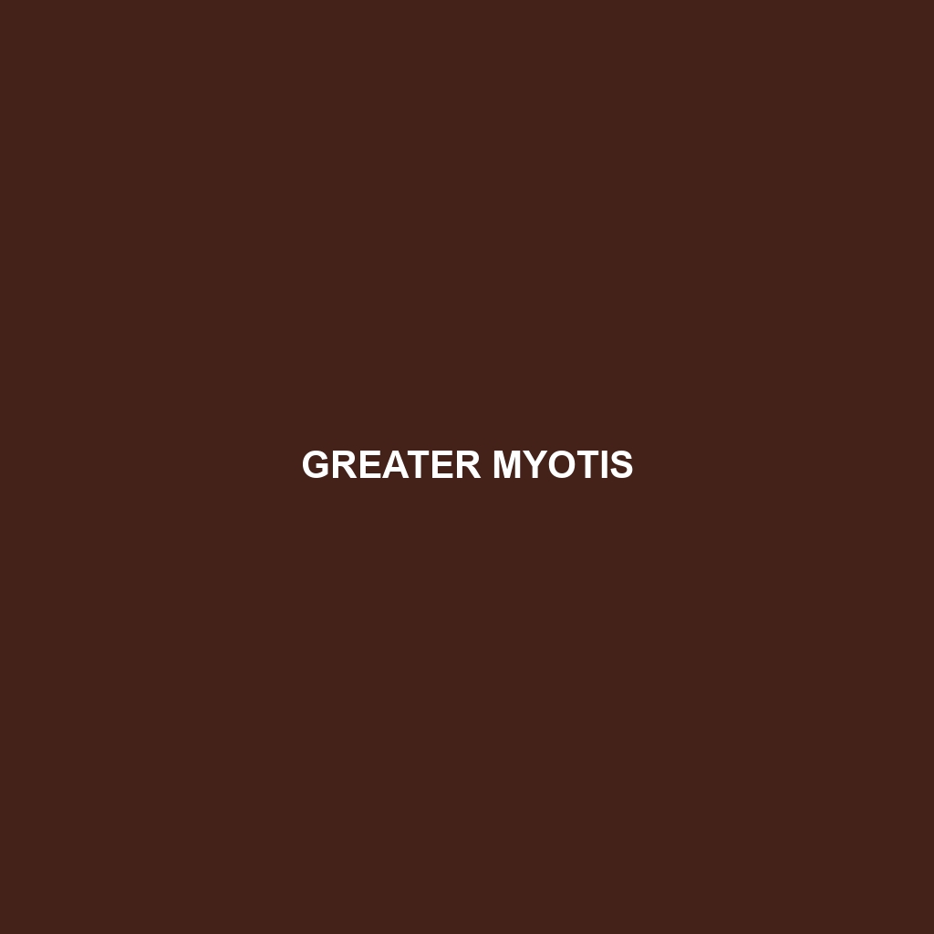 Greater Myotis