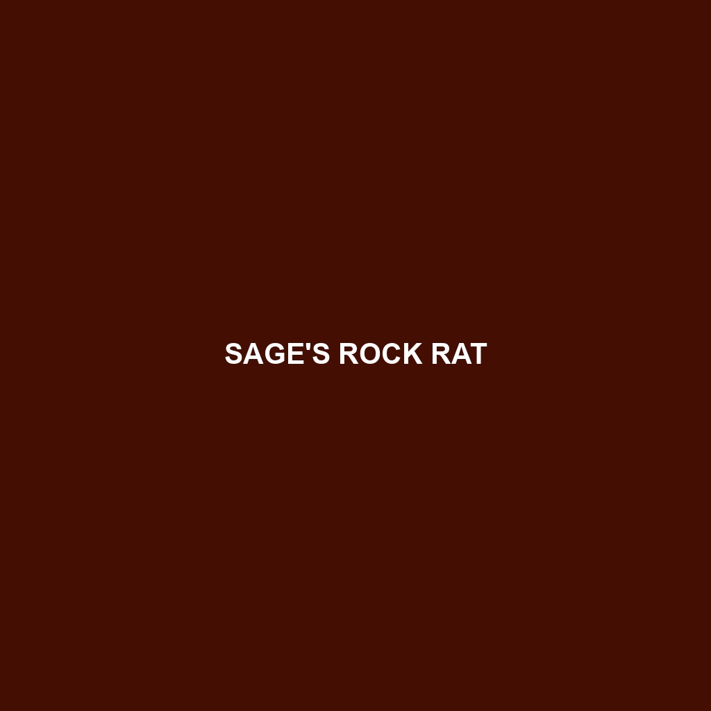 Sage's Rock Rat