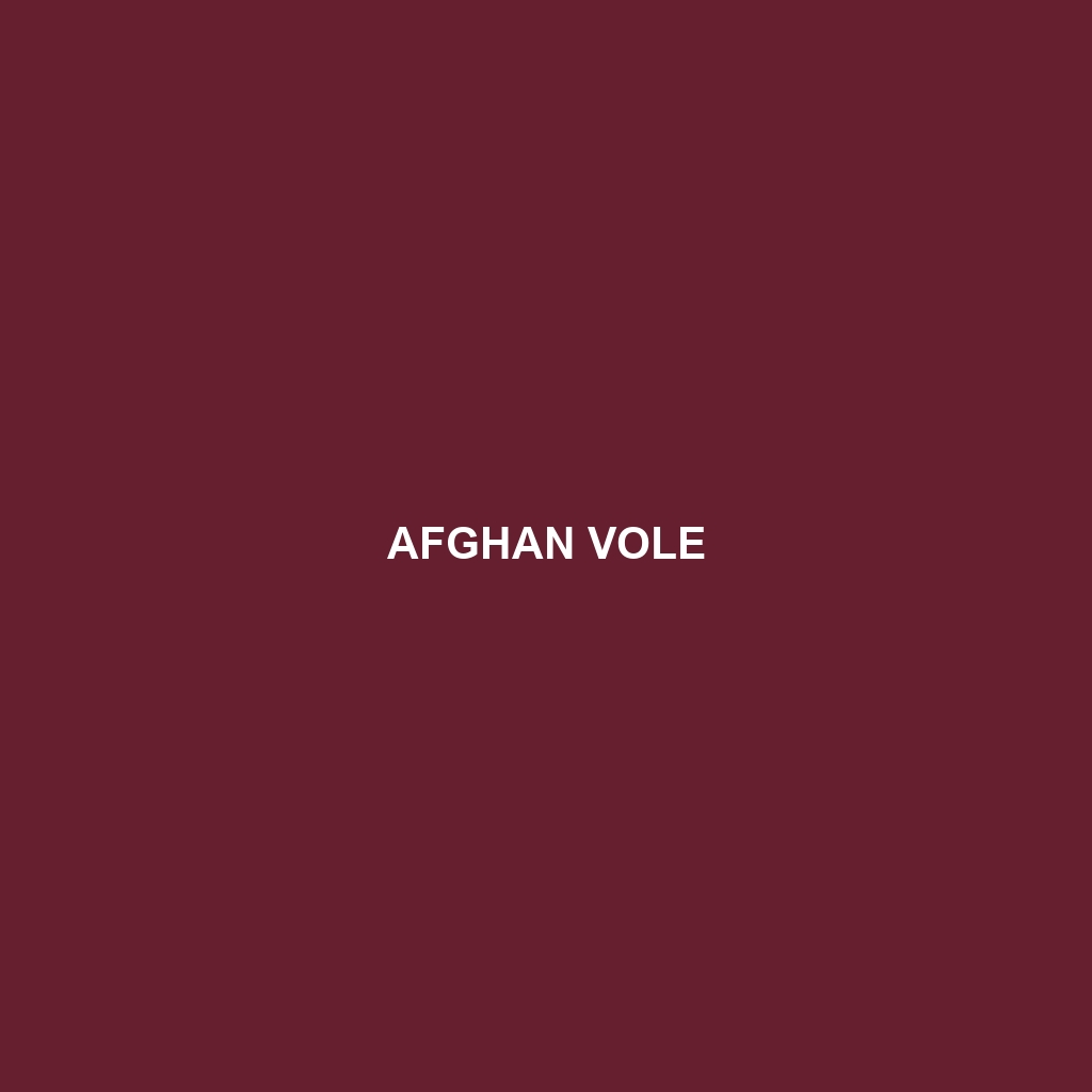 Afghan Vole