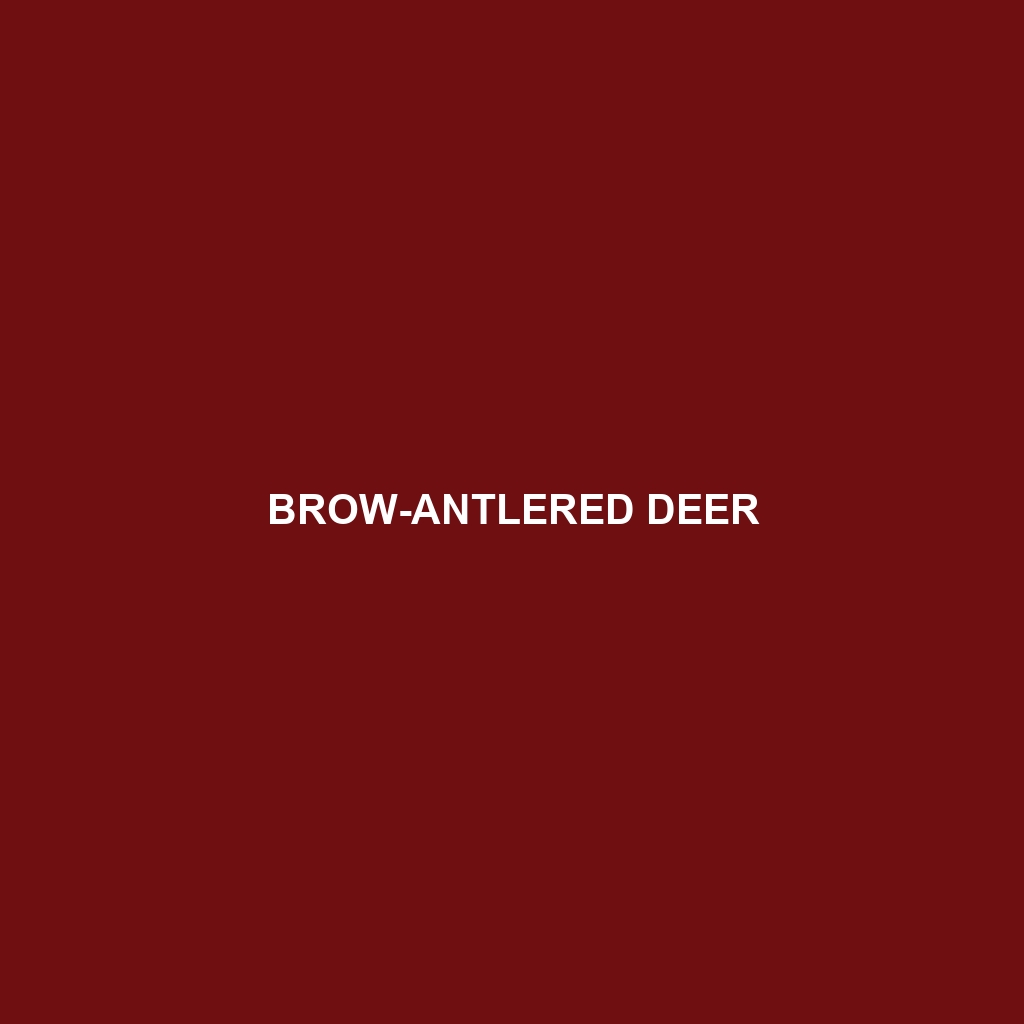 Brow-antlered Deer