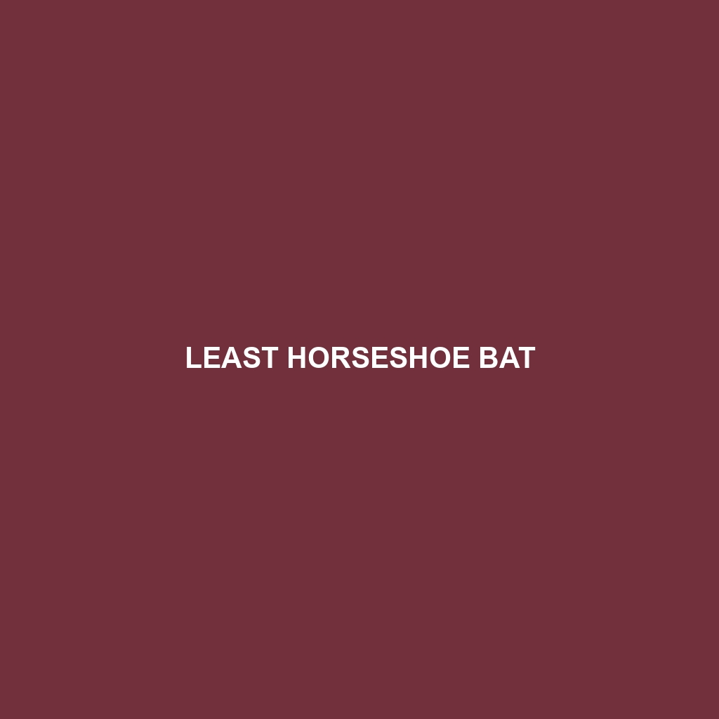 Least Horseshoe Bat