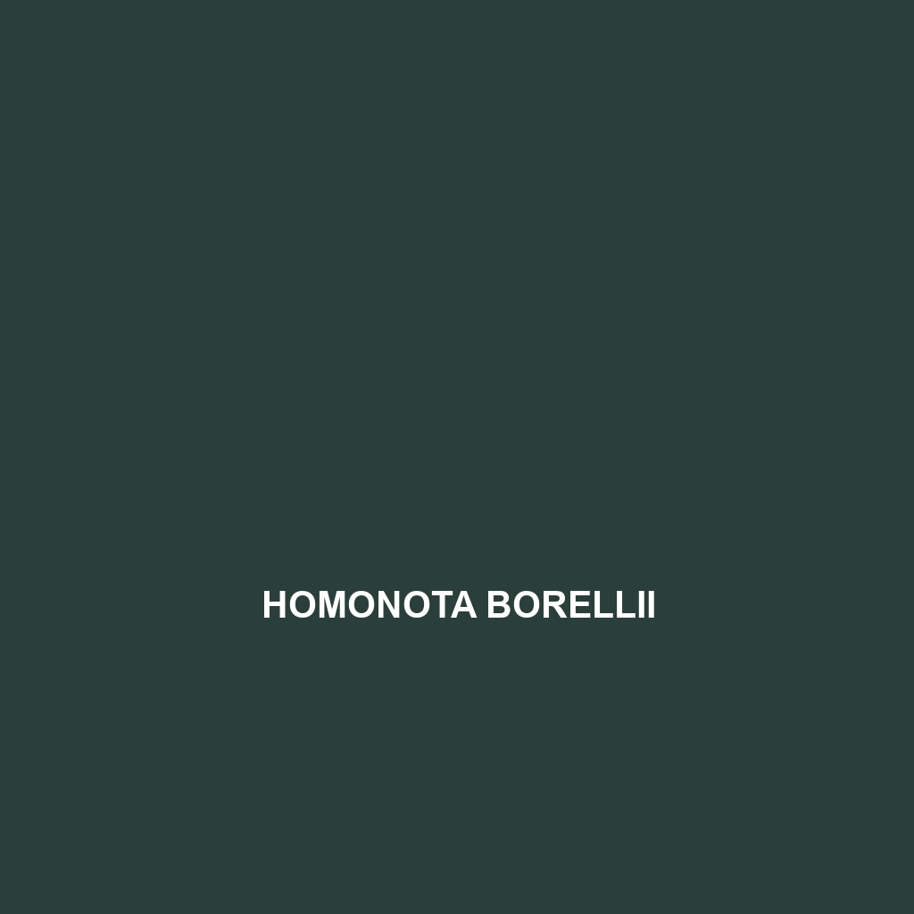 Homonota borellii