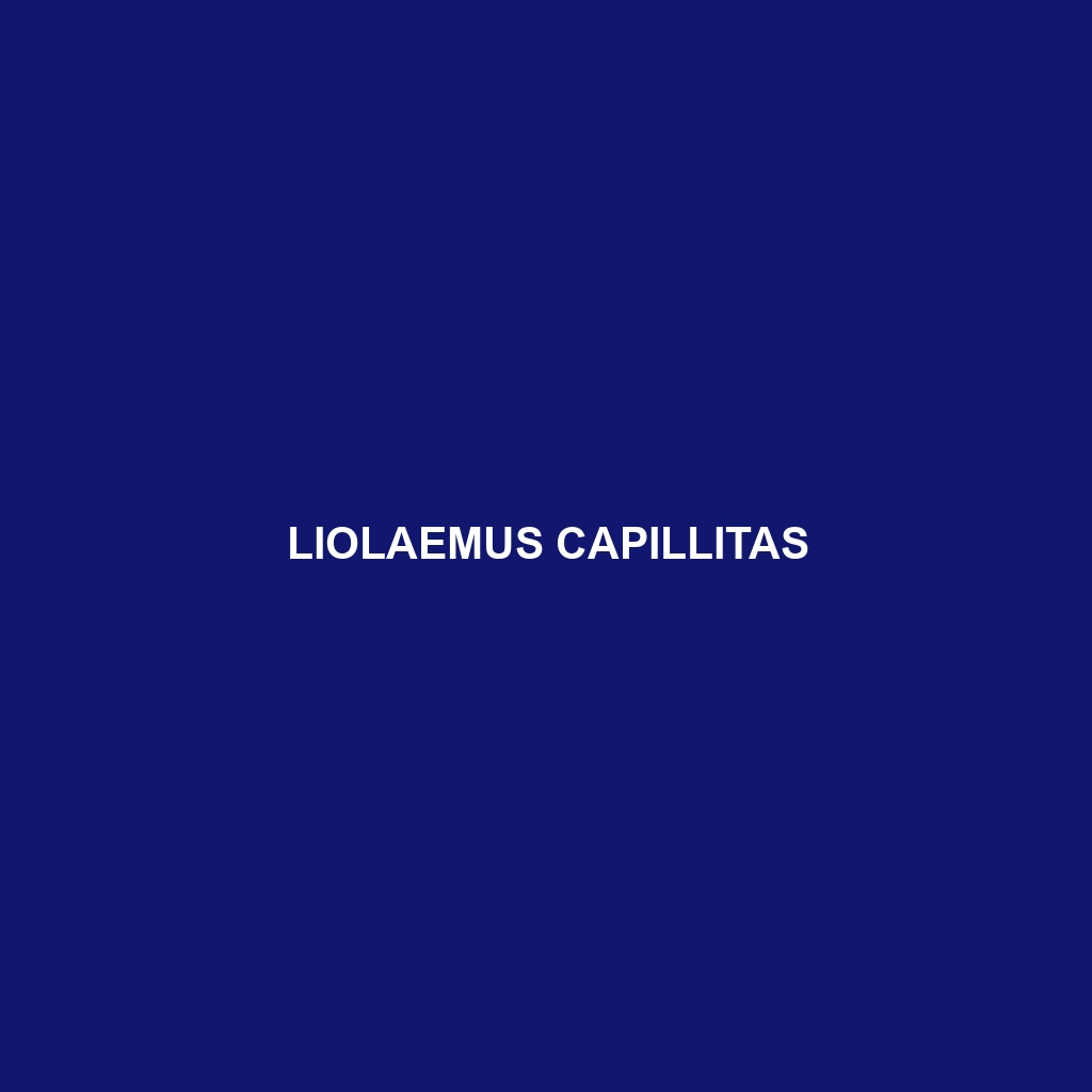 Liolaemus capillitas