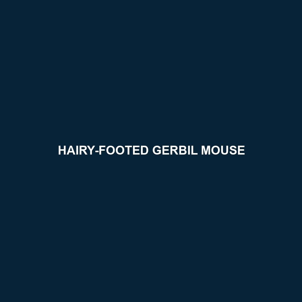 Hairy-footed Gerbil Mouse