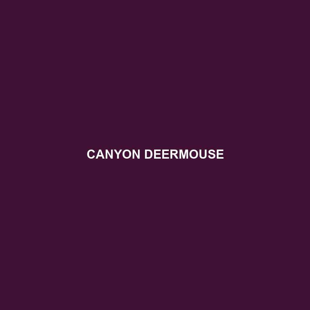 Canyon Deermouse