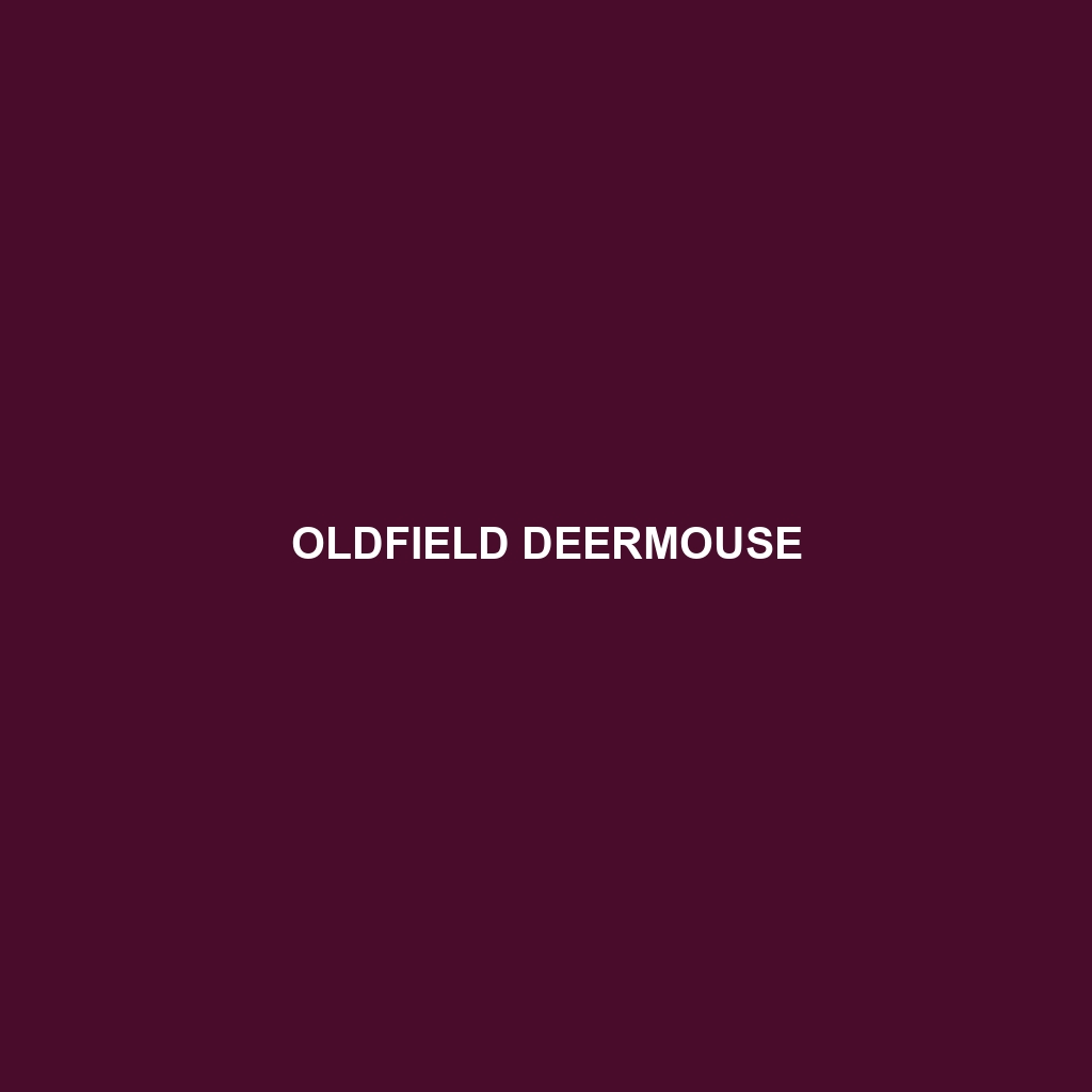 Oldfield Deermouse