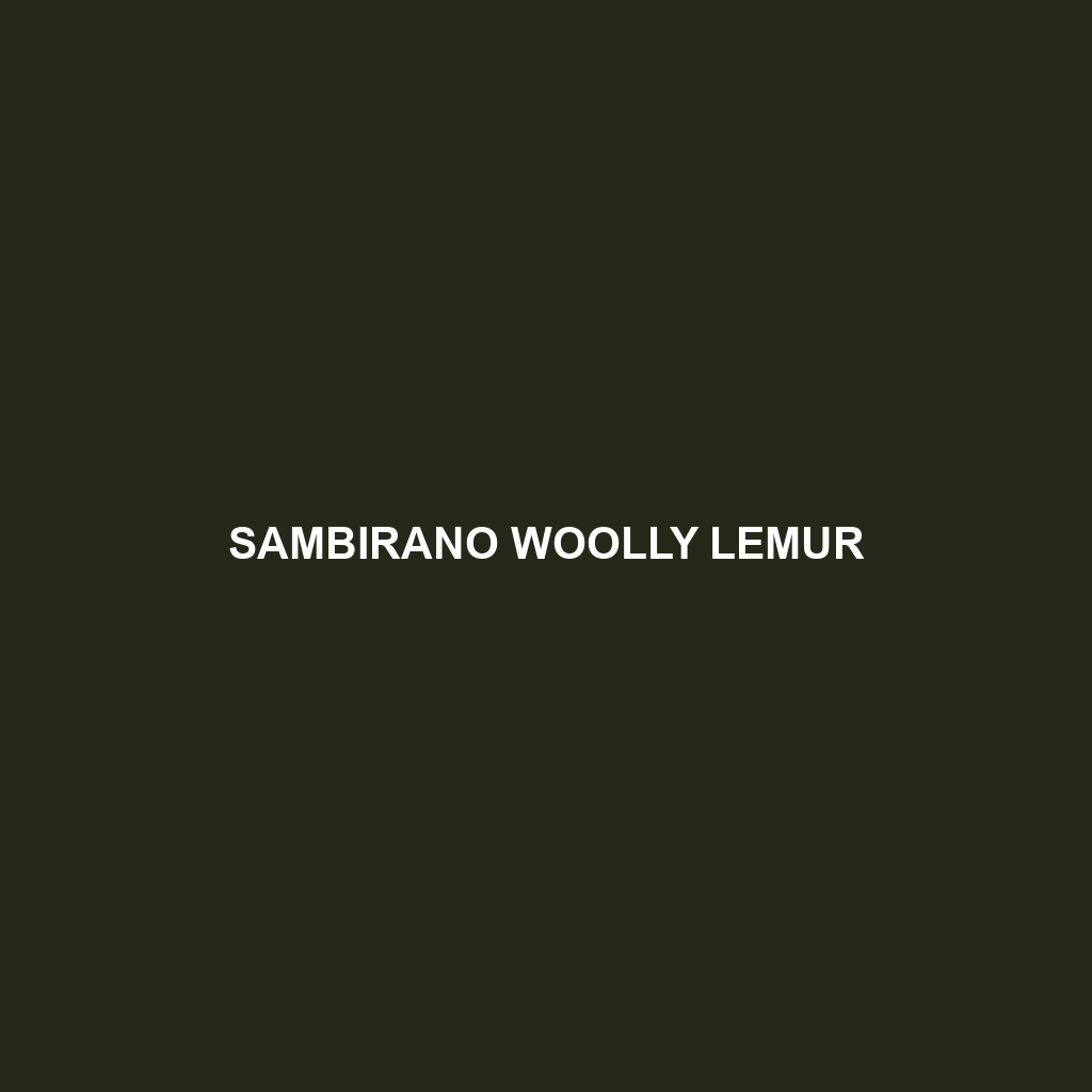 Sambirano Woolly Lemur