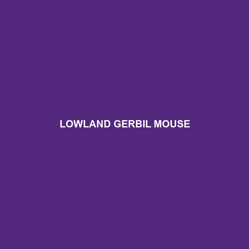 Lowland Gerbil Mouse