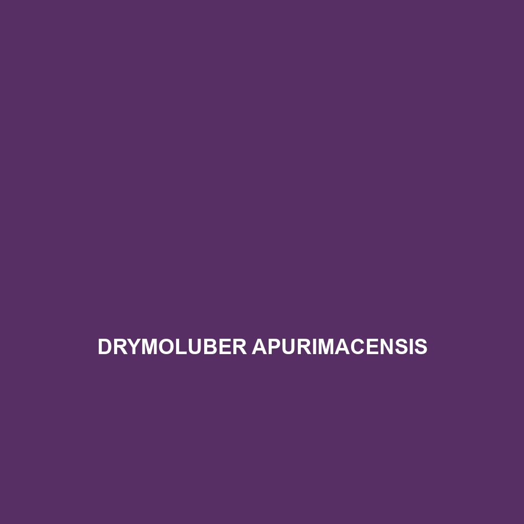 Drymobius rhombifer