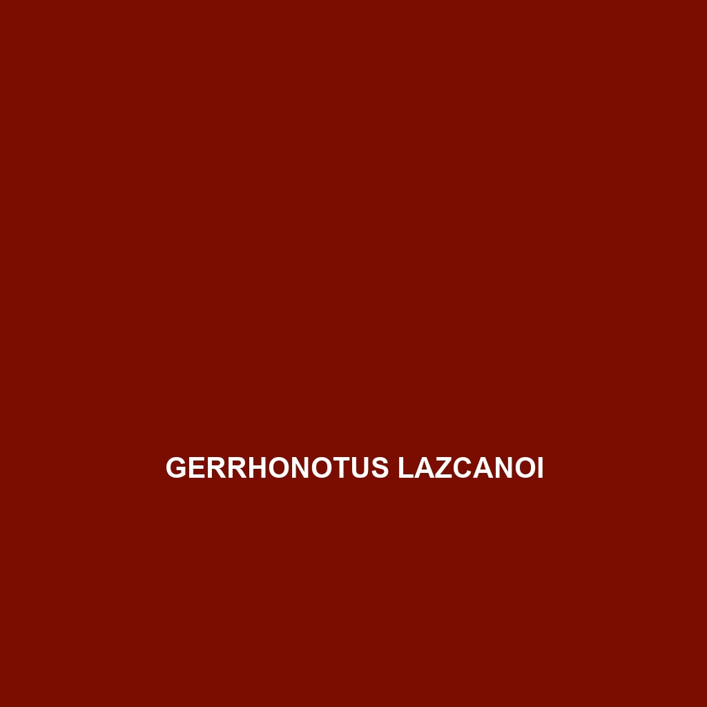 Gerrhonotus lazcanoi