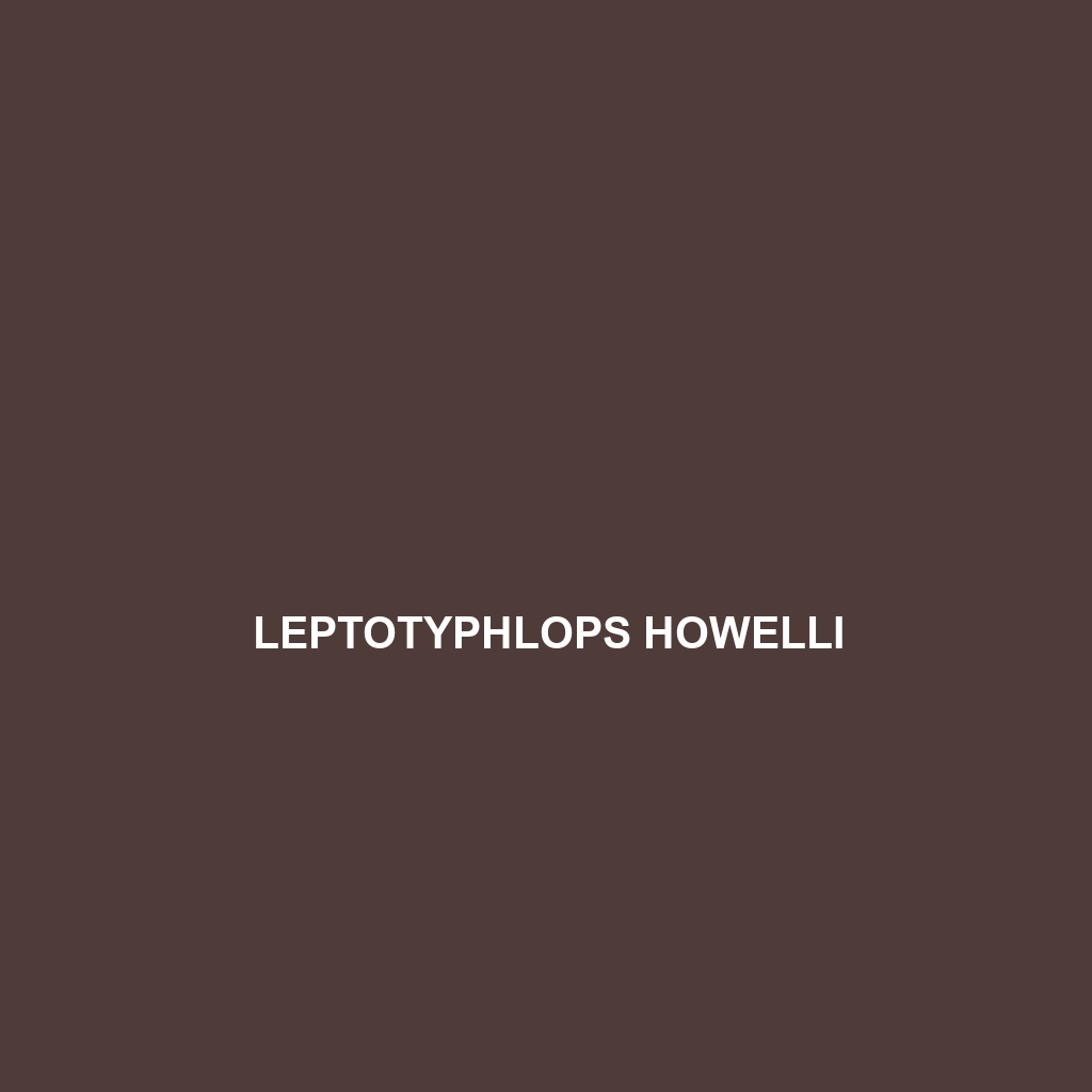 Leptotyphlops howelli