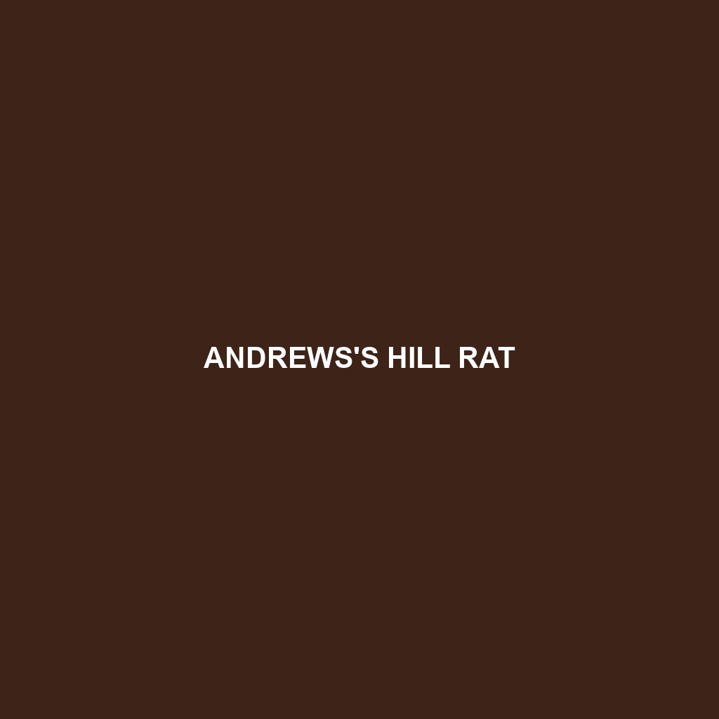 Andrews's Hill Rat