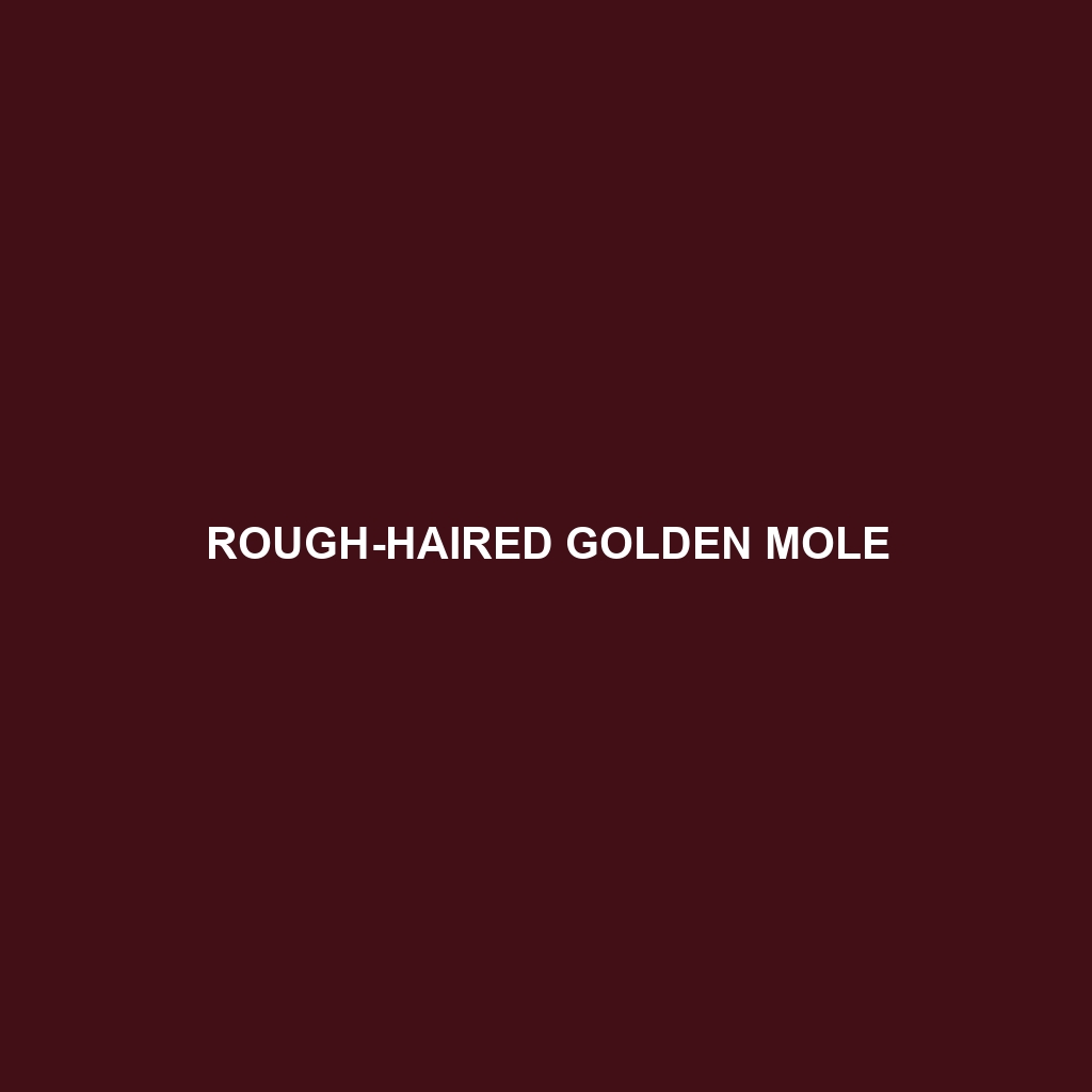 Rough-haired Golden Mole