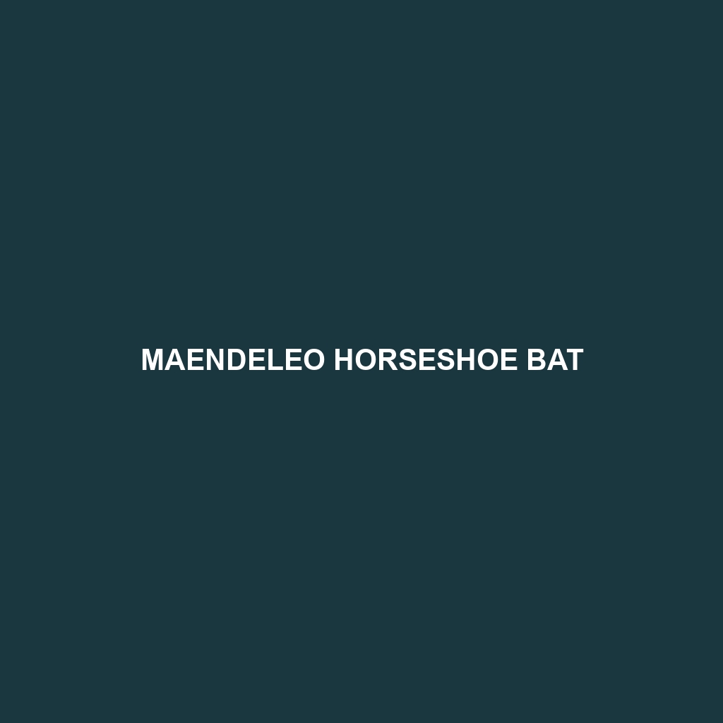 Maendeleo Horseshoe Bat