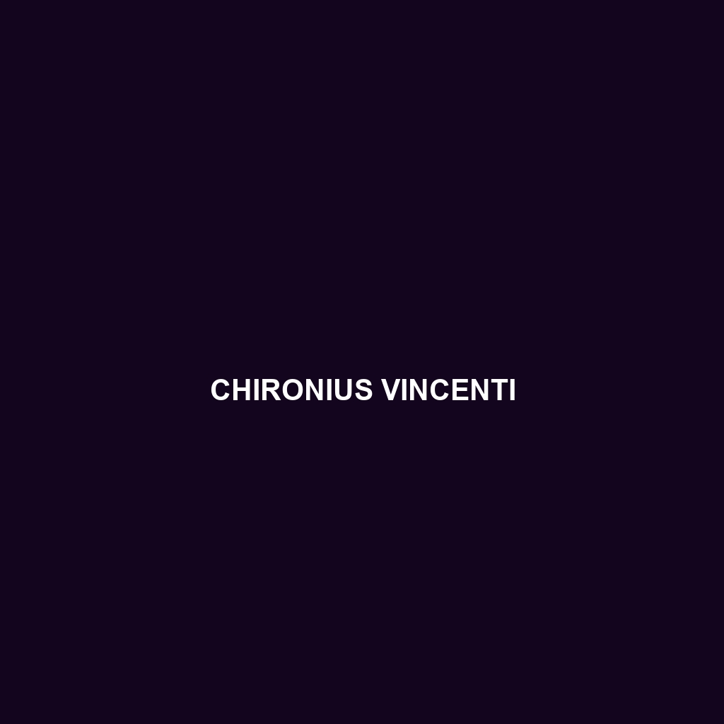 Chironius vincenti