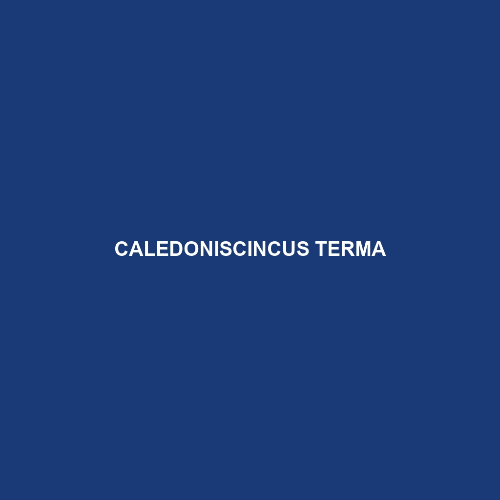 Caledoniscincus terma