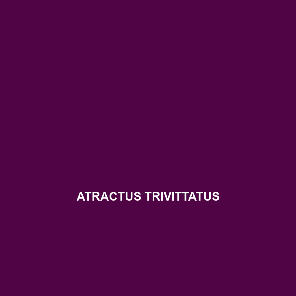 Atractus trivittatus