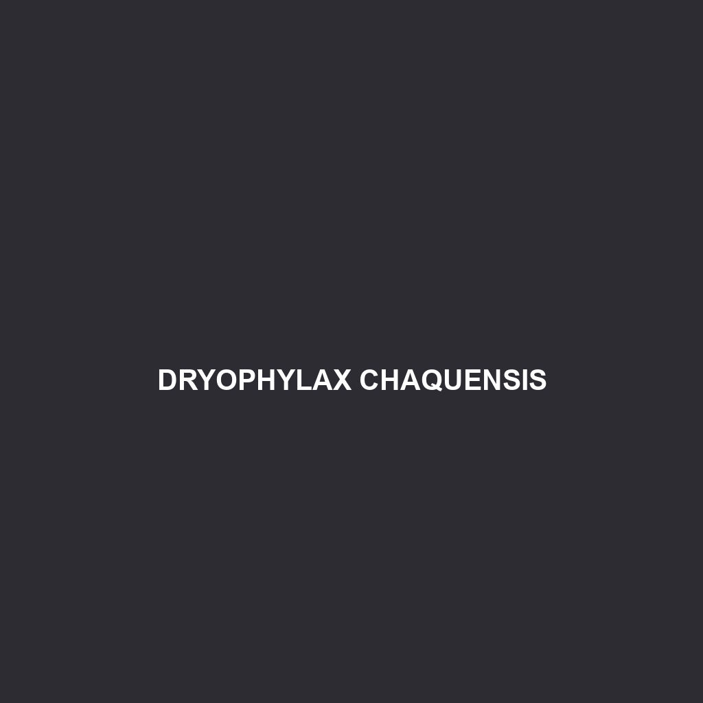 Dryophylax ceibae