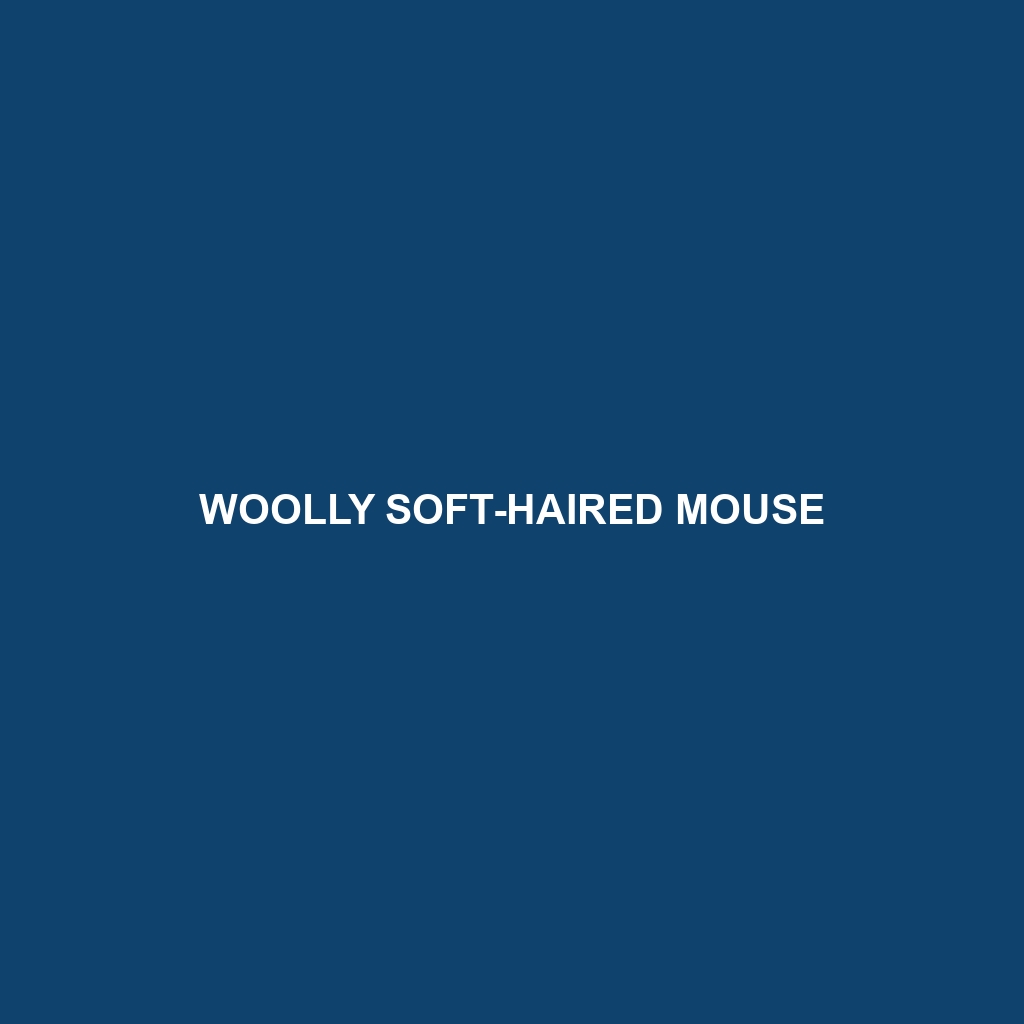 Woolly Soft-haired Mouse