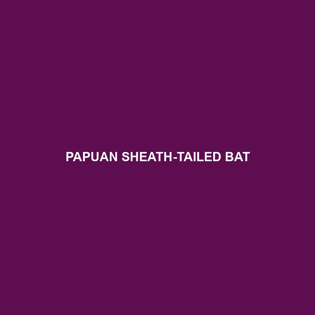 Papuan Sheath-tailed Bat