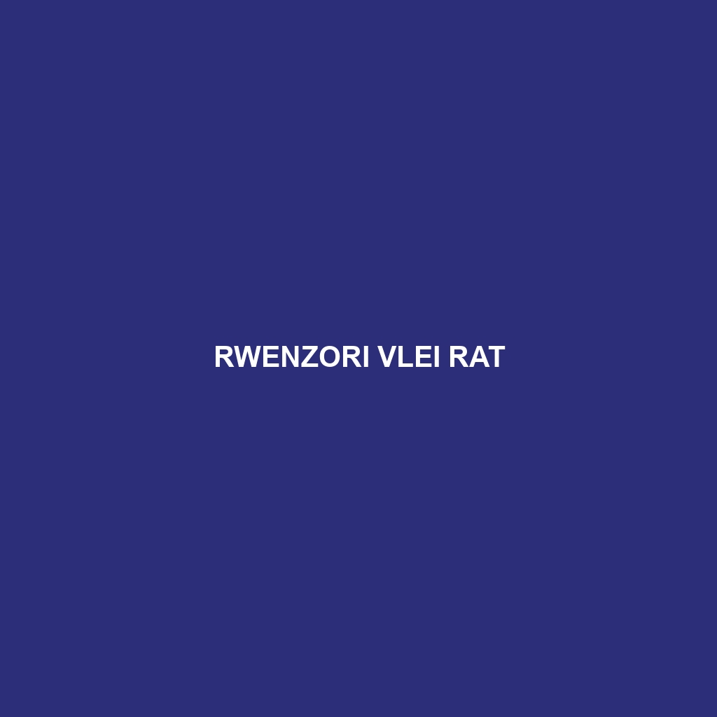 Rwenzori Vlei Rat