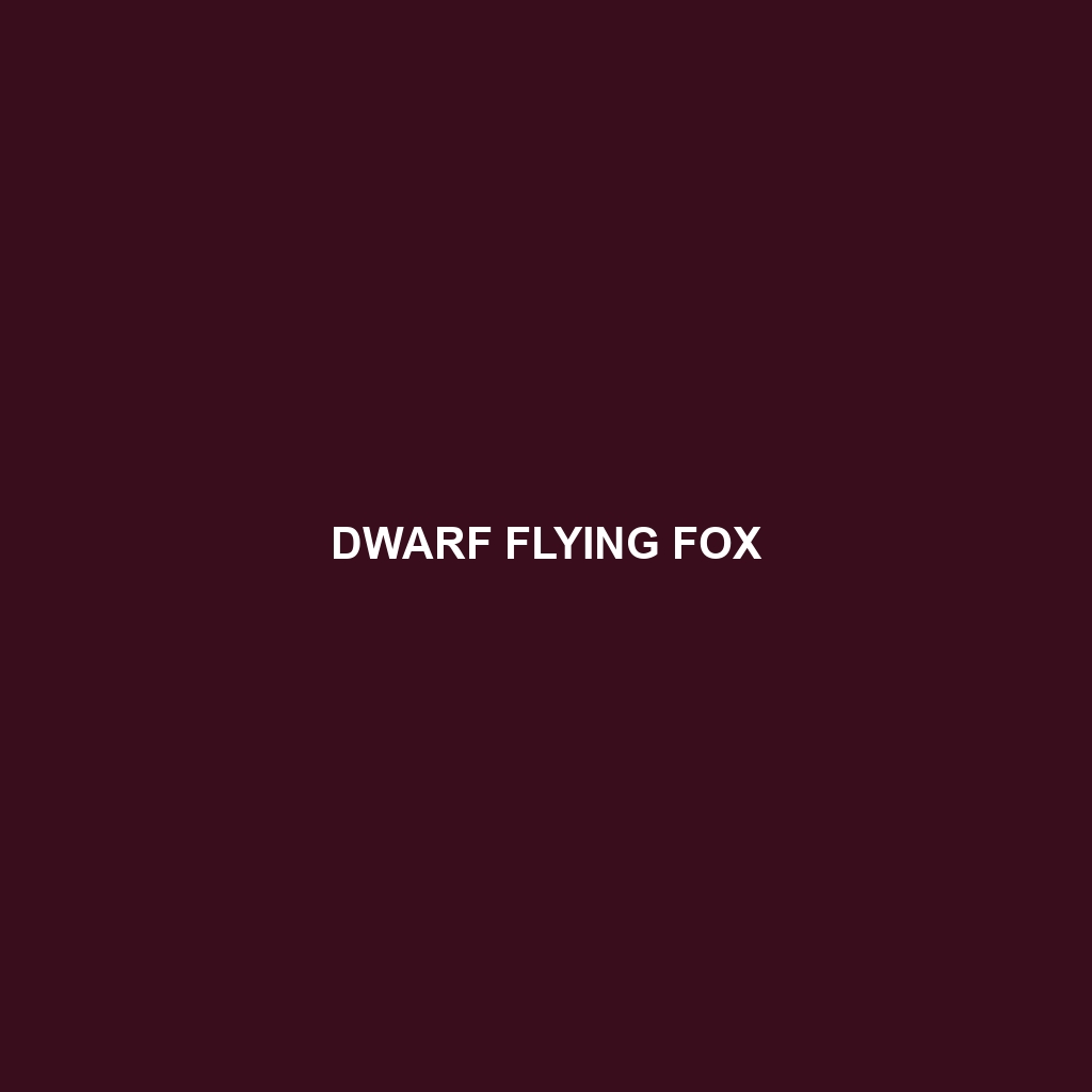 Dwarf Flying Fox