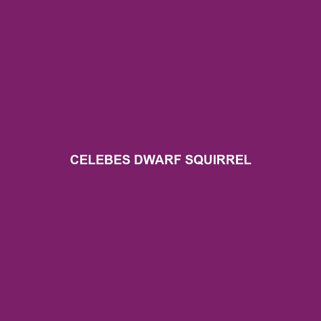 Celebes Dwarf Squirrel