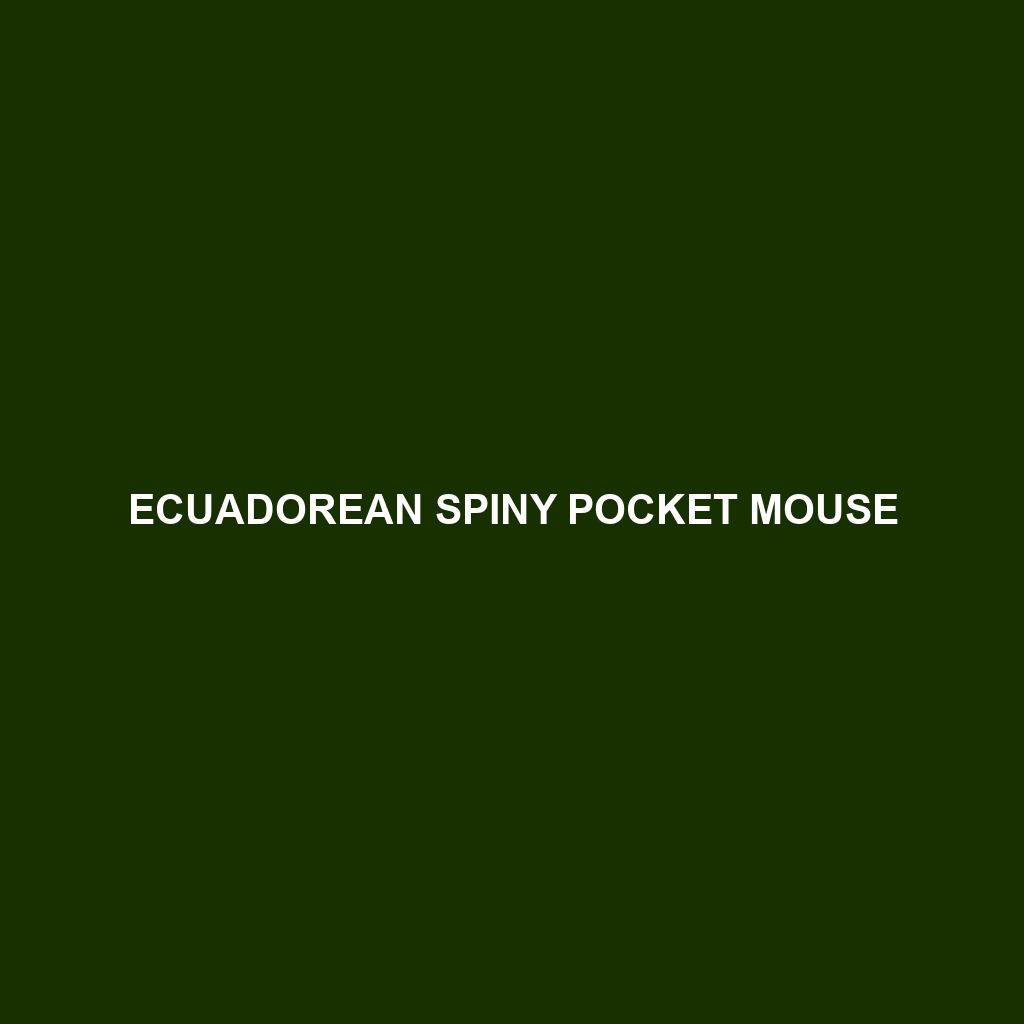 Ecuadorean Spiny Pocket Mouse