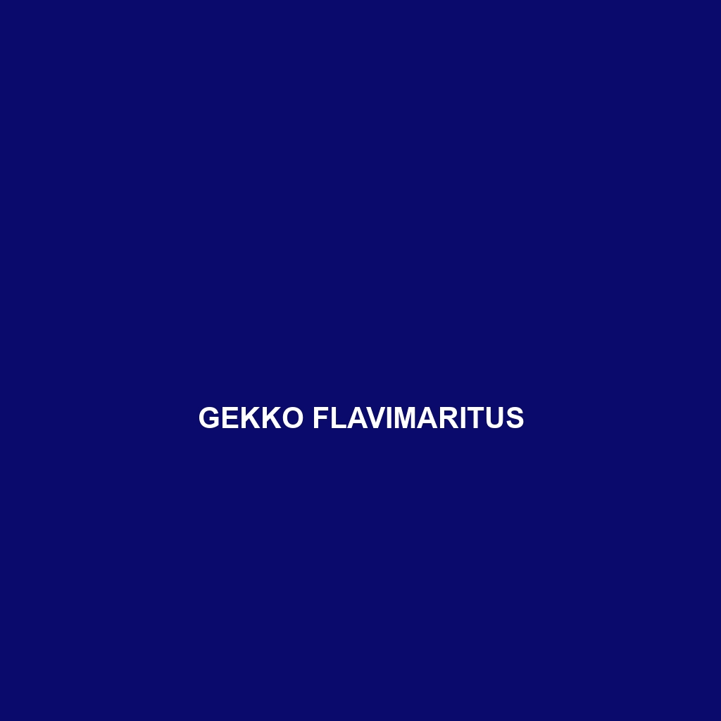 Gekko flavimaritus