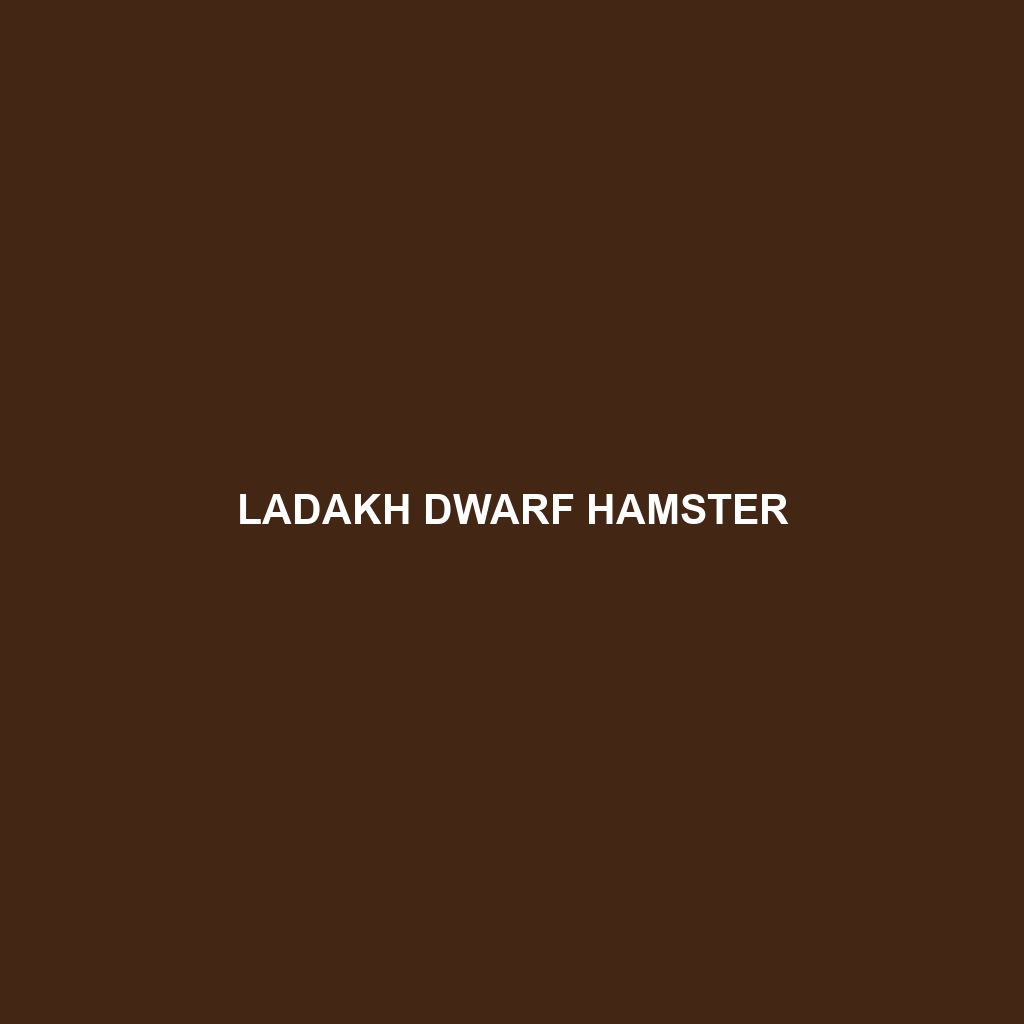 Ladakh Dwarf Hamster