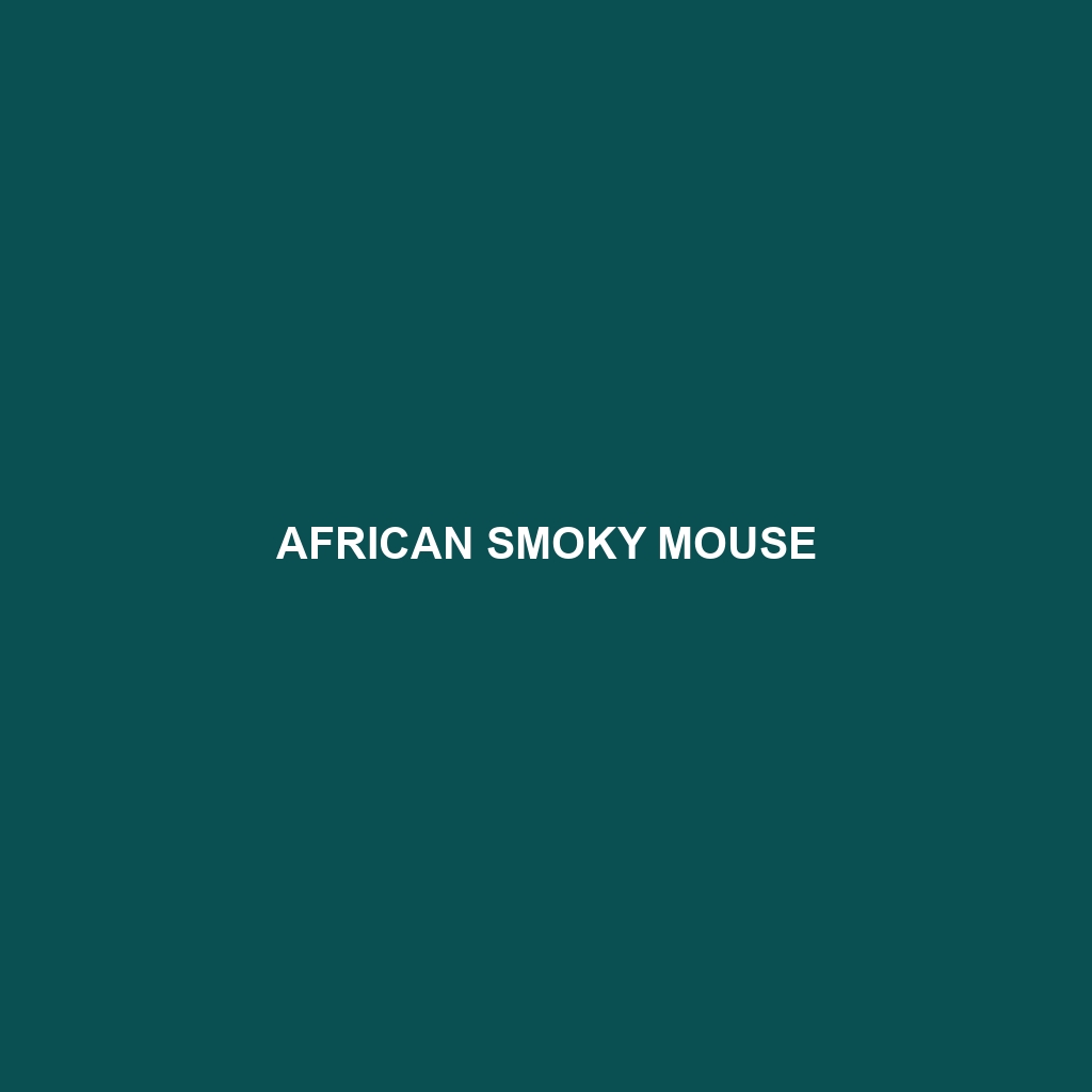 African Smoky Mouse