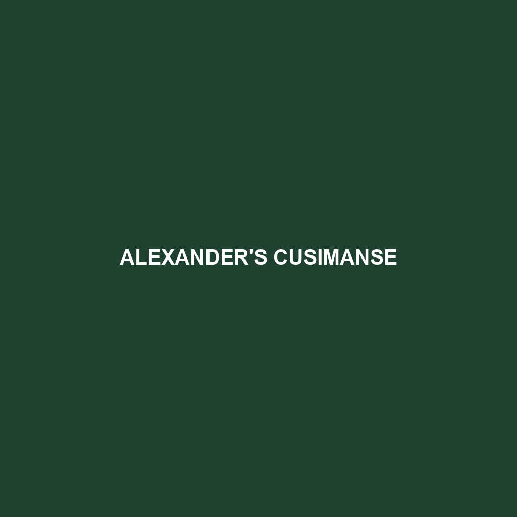 Alexander's Cusimanse